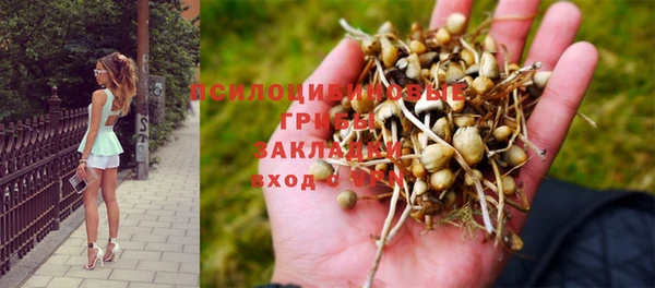 мдпв Зеленокумск