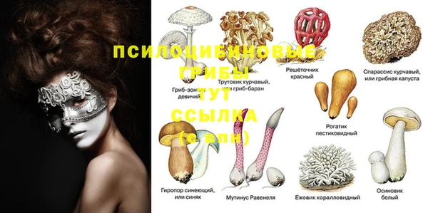 мяу мяу мука Зеленодольск